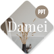 Damei Proposal - GraphicRiver Item for Sale