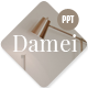 Damei Company Profile - GraphicRiver Item for Sale