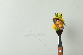 Fork with Spanish Paella on gray background / Photodune, Misc