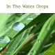 In The Water Drops