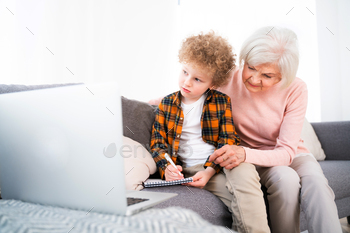 Grandparents and grandson playing at home / Photodune, Misc