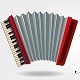 The Accordion