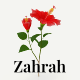 Zahrah - Flower Shop & Store WooCommerce Elementor Template Kit - ThemeForest Item for Sale