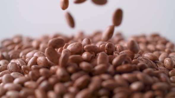 Dry beans falling. Slow Motion.