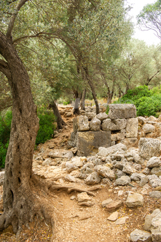 The remains of an ancient Carian city on the island of Sedir. Mugla, Turkey / Photodune, Misc