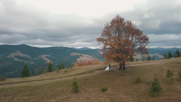 Lovely Young Newlyweds Bride and Groom Embracing Making a Kiss on Mountain Slope Wedding Couple