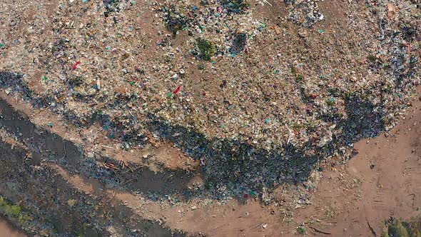 The Huge Garbage Dump, the Ecological Disaster of Our Planet