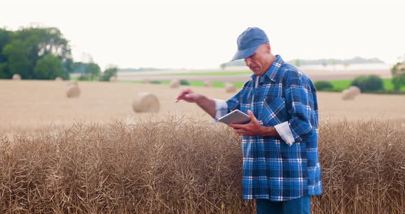Farmer with Digital Tablet Analyzing Crops at Farm