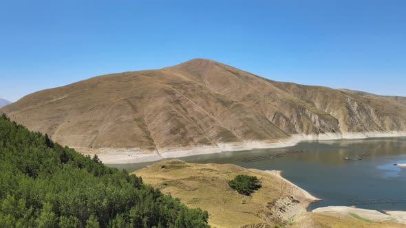 forest mountains lake