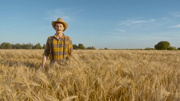 Caucasian Agronomist in Conceptual American Style Smiling and Thumbs Up By Hand on a Wheat Field