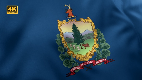 Vermont State Flag - 4K