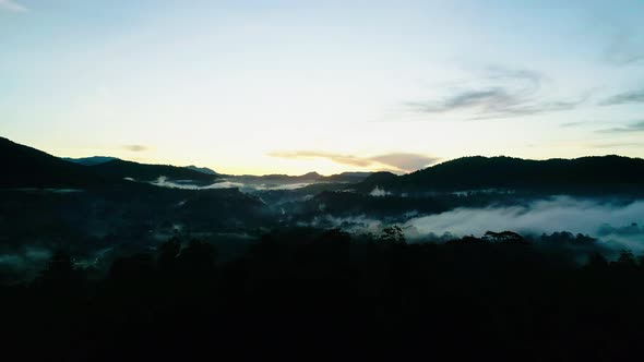 Misty Cloud Covered Forest