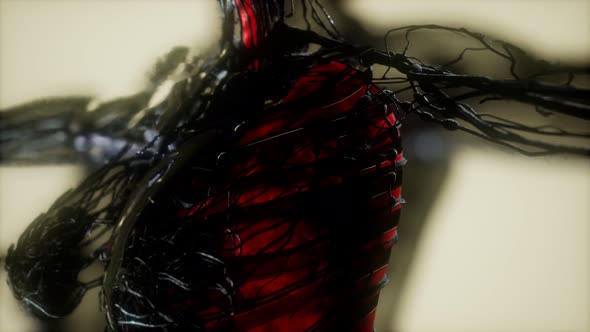 Human Body Scan with Glowing Lungs and Trachea alt