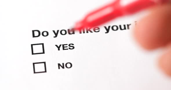 Do you like your jobs survey