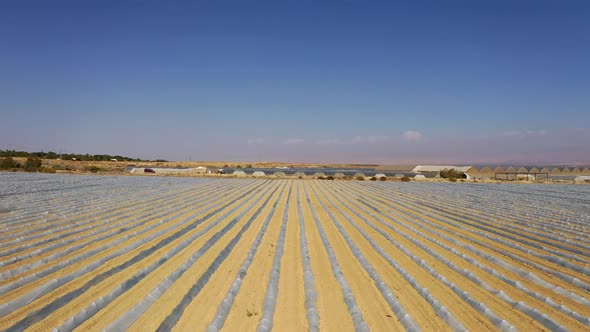 Flying over large plant field under small protective plastic greenhouses, straight lines desert fiel