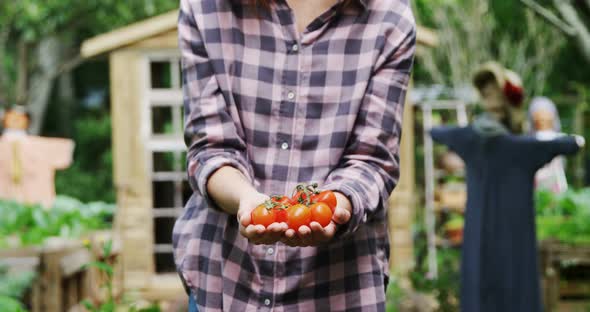 Mature woman holding tomatoes 4k