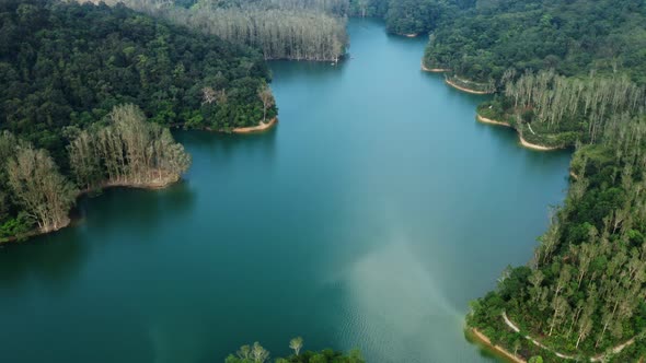 Drone fly over the lake and forest