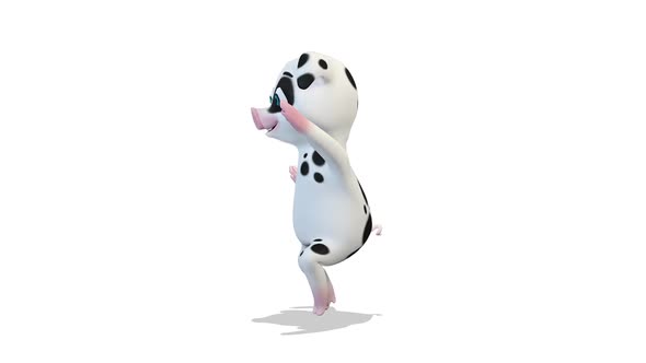 White Pig Dancing A Funny Dance Around Him on White Background