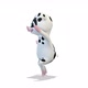 White Pig Dancing A Funny Dance Around Him on White Background - VideoHive Item for Sale