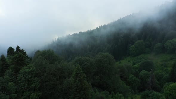 Aerial view of Dzemerdzhi mountain with fog, Crimea, Russia.