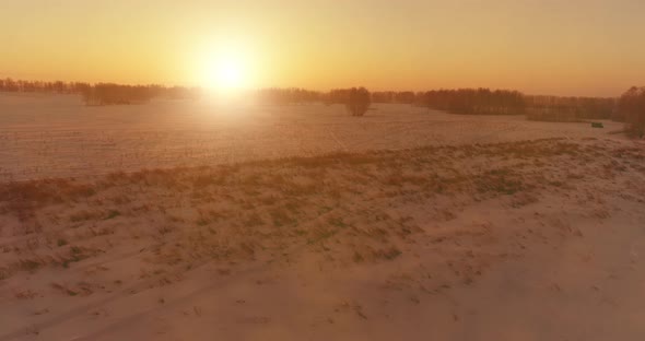 Aerial Drone View of Cold Winter Landscape with Arctic Field, Trees Covered with Frost Snow and