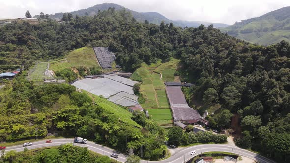 Cameron Highlands, Pahang Malaysia