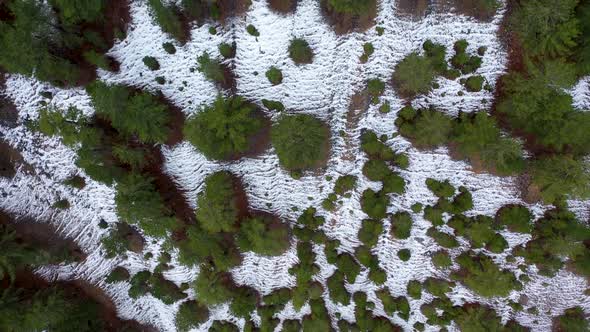 Soft Winter in the Mountains Aerial View 4 K