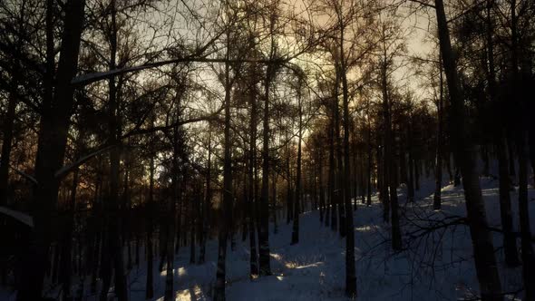 Winter Landscape on a Sunset alt