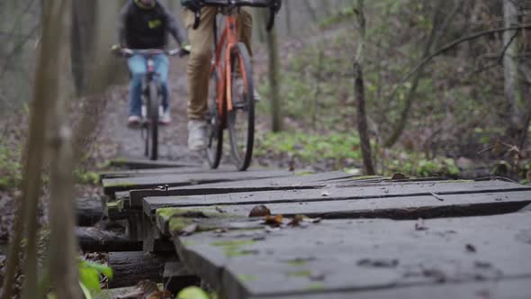 Сyclists in the forest