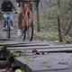 Сyclists in the forest - VideoHive Item for Sale