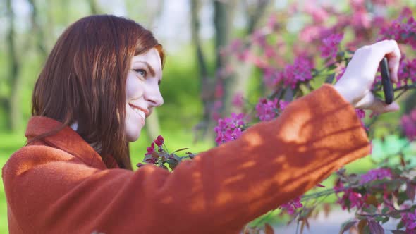 Young Attractive Redhaired Woman Makes a Selfie on the Background of Spring Flowers of Cherry or