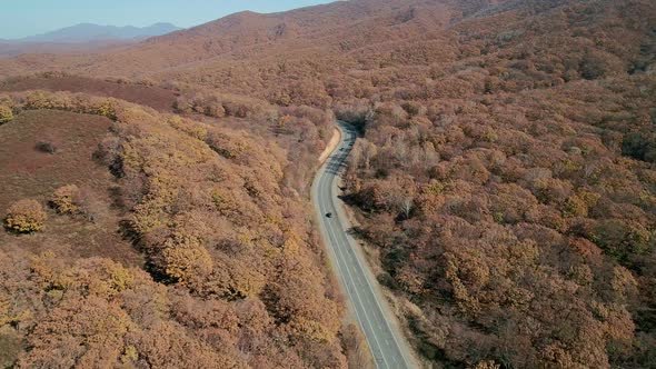 Aerial Shot of Cars Driving on a Highway Road in Between Autumn Forest Fall Season