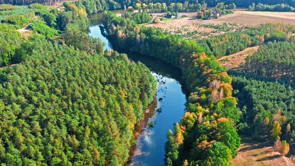 Aerial view of small river and forest, Poland