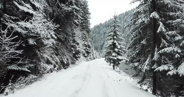 Winter in California a Road Through a Snowy Forest and a Mountain River