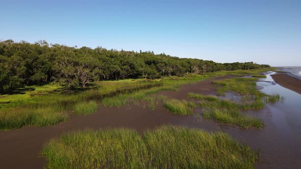 Backward aerial of sandy swamps and woods by coast of La Plata River