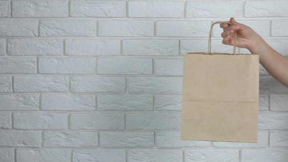 Woman Hand with Paper Bag