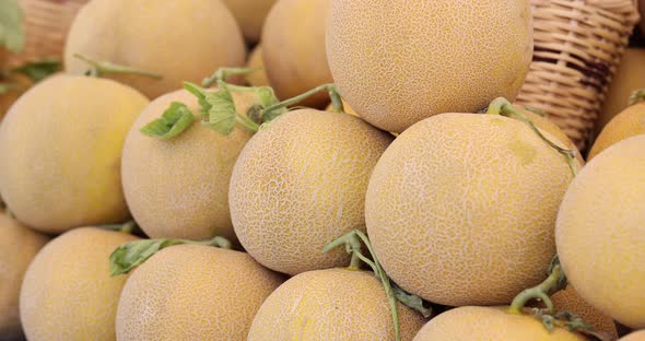 Cantaloupe or Honeydew Fruits Sale in Market Closeup