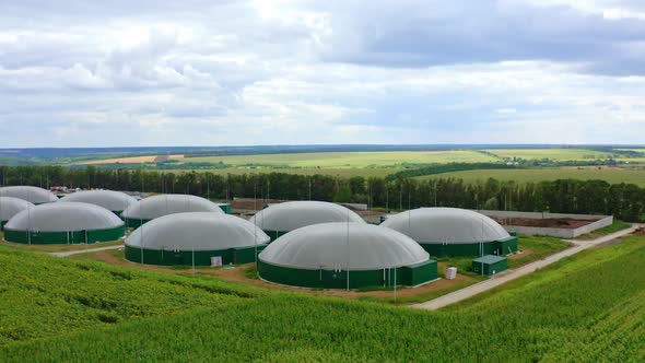 Large reservoirs for biomass