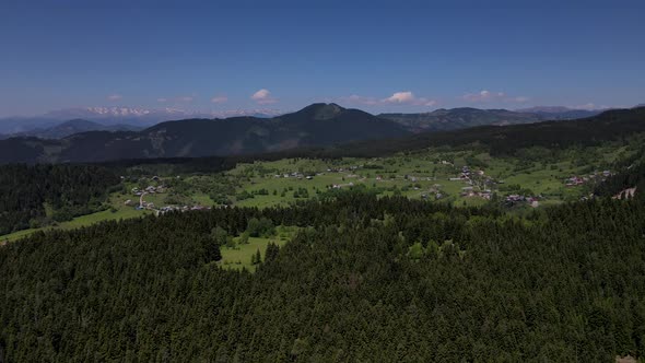 Pine Forests And Alpine Meadows