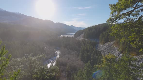 Rain Forest in British Columbia Canada