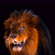 Fractal Lion 4K - VideoHive Item for Sale