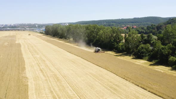 Aerial Drone Shot  a Combine Harvester Works on the Edge of a Field in a Rural Area on a Sunny Day