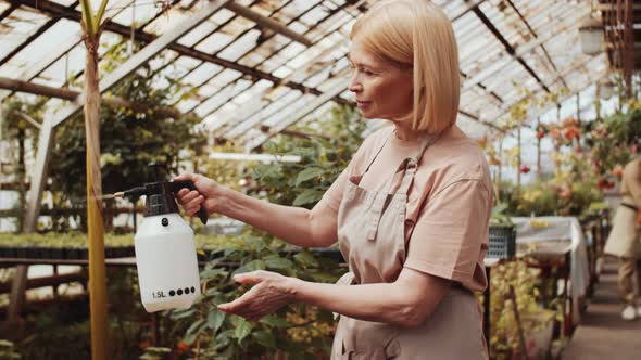 Female Farmer Spraying Plants in Greenhouse