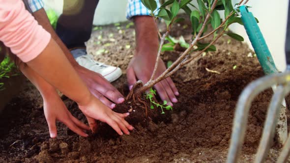 Father and daughter planting a tree in garden at backyard