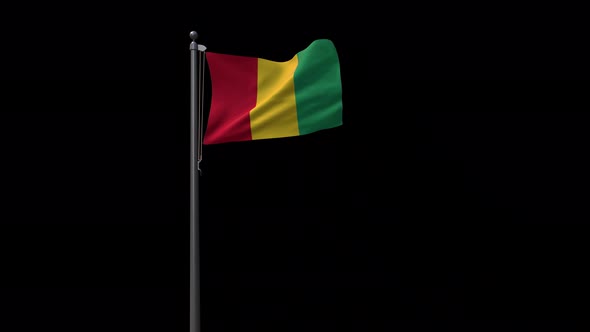 Guinea Flag With Alpha 4K