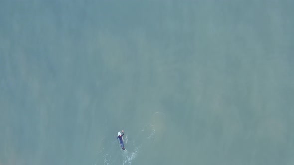 Aerial surfer