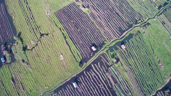 Flying Over Floating Gardens on Inle Lake