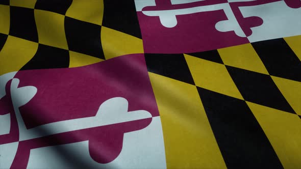 State Flag of Maryland Waving in the Wind