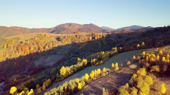 The Mountain Forest on the Background of the Sunset