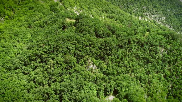 Aerial view of large zip line cable a person flying crossing the forest.